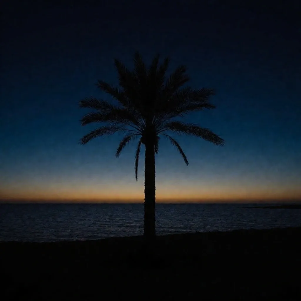 Palm tree silhouette against twilight sky over the Egyptian coast